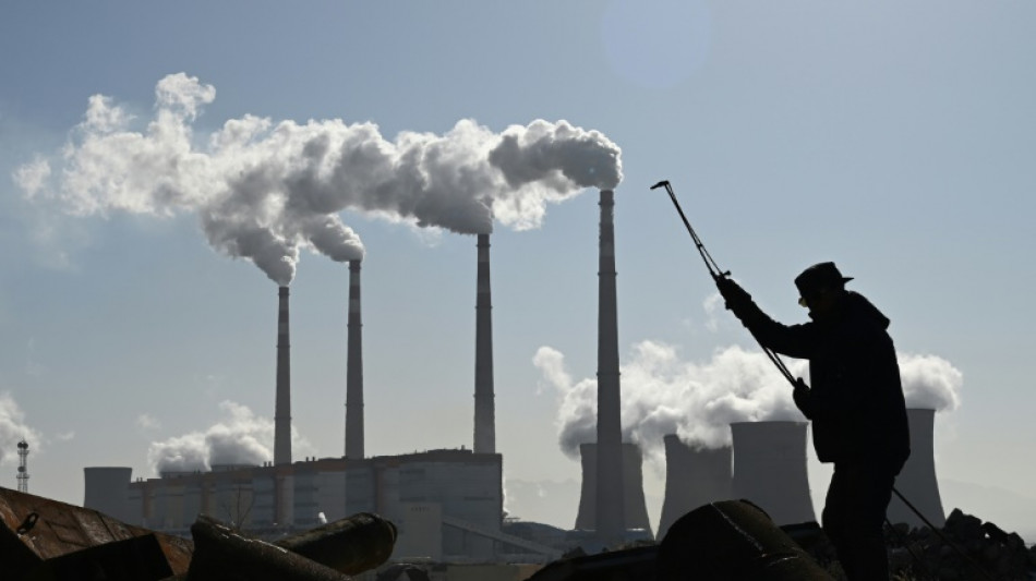 Nueva capacidad de generaci&oacute;n el&eacute;ctrica a carb&oacute;n alcanza en 2024 su m&iacute;nimo en 20 a&ntilde;os