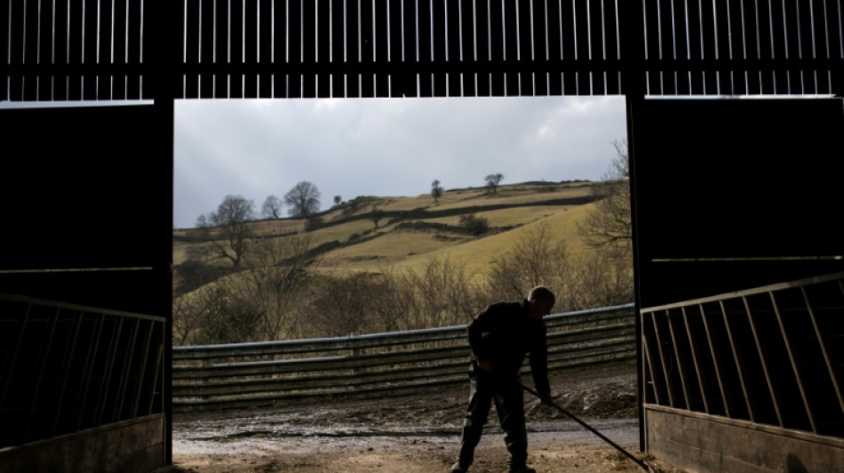 Rheinland-pf&auml;lzisches Dorf ist kleinste Gemeinde Deutschlands