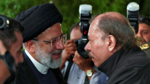 Presidente do Ir&atilde; diz querer compartilhar 'capacidades' com a Nicar&aacute;gua