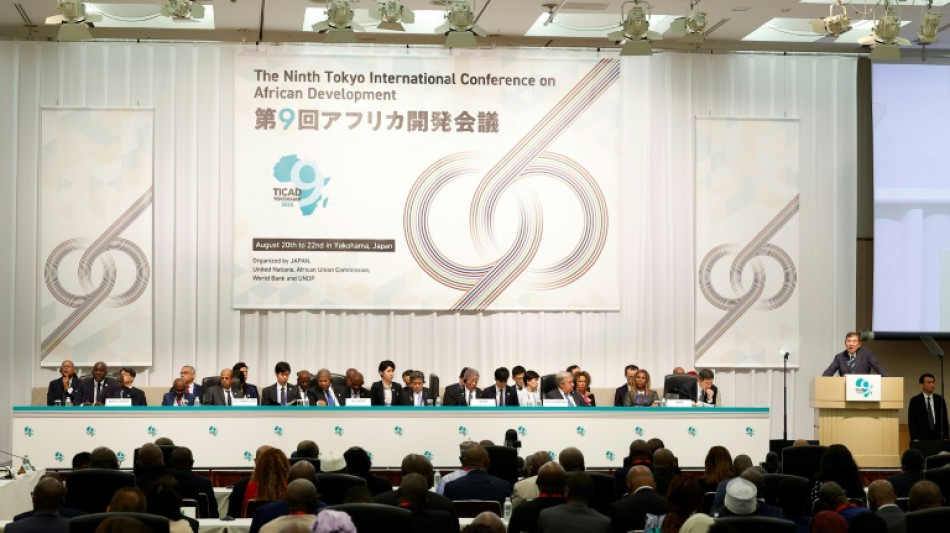 Le Japon veut se poser en alternative pour l'Afrique