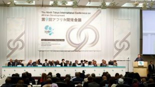 Le Japon veut se poser en alternative pour l'Afrique