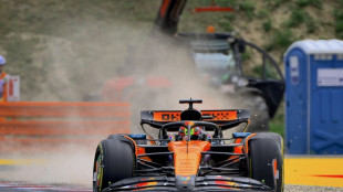 Norris completes 'double top' in Hungary practice