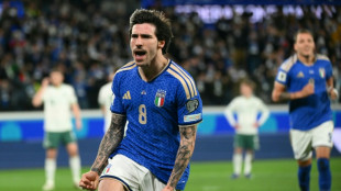 Tottenham contrata Sandro Tonali, meio-campista italiano do Newcastle