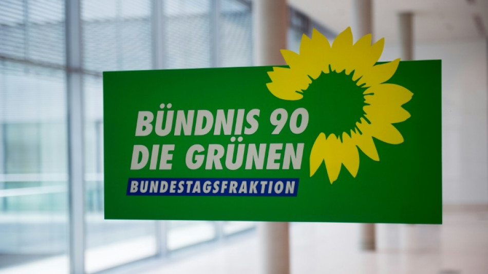 Grüne wollen in Rentenkommission der Koalition mitarbeiten - Linke übt Kritik