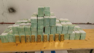 Ukrainian bank worker detained by Hungary was forcibly medicated: Kyiv