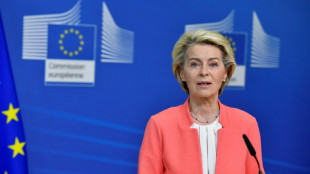 Von der Leyen nutzte &ouml;fter Privatjets f&uuml;r Dienstreisen