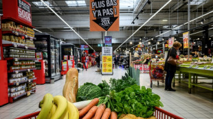 Cada d&iacute;a se echaron a perder 1.000 millones de comidas en 2022, seg&uacute;n la ONU