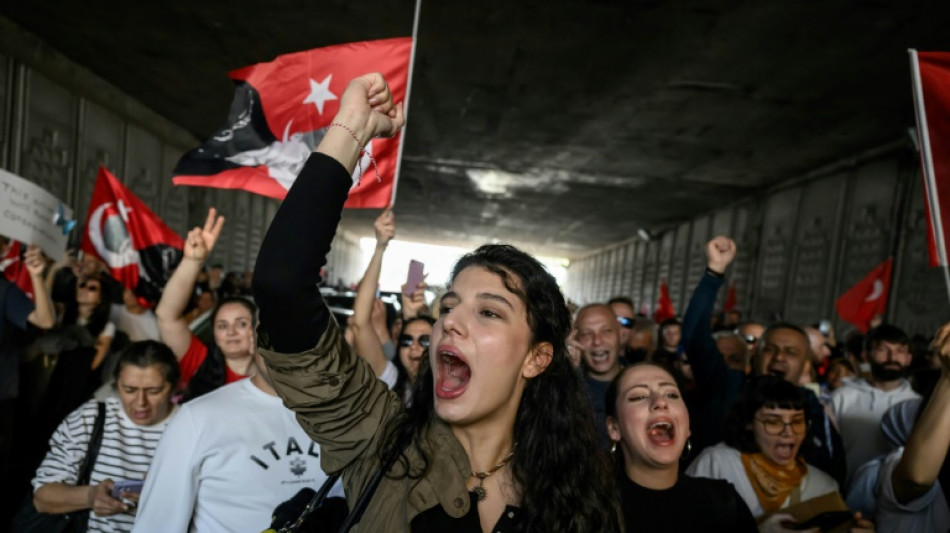 Grünen-Politiker fordert Stopp von Abschiebungen in die Türkei