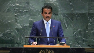 Catar dice en la ONU que continuar&aacute; sus esfuerzos para lograr una tregua en Gaza