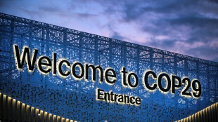 Azerbaiy&aacute;n se esfuerza en reconducir la COP29 tras un incidente con Francia y la salida de Argentina