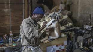 Los taxidermistas de Sud&aacute;frica, amenazados por las posibles restricciones en Europa