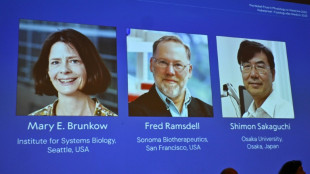 Drei Immunforscher aus den USA und Japan mit Medizin-Nobelpreis geehrt