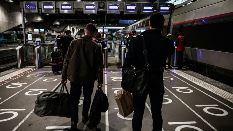 &iquest;Su gato est&aacute; debajo del tren? Francia da 20 minutos para recuperarlo