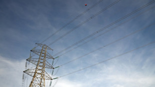 El gobierno de Espa&ntilde;a dice que tardar&aacute; "muchos d&iacute;as" en conocer las causas del apag&oacute;n