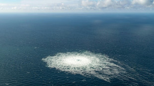 Un Ukrainien arr&ecirc;t&eacute; en Italie pour le sabotage du gazoduc russe Nord Stream