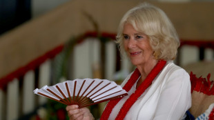 Britische K&ouml;nigin Camilla sagt wegen "Infektion im Brustbereich" Termine ab