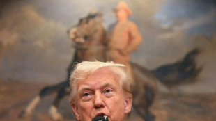 "M&eacute;contentement" de Trump face aux projets de reconnaissance d'un Etat palestinien