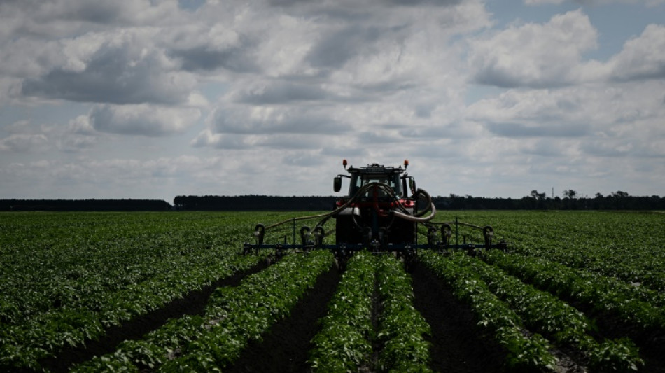 Streit um Hoferbe: Erwachsener muss von beiden Ehepartnern adoptiert werden