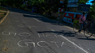 Adoration turns to anger towards crisis-hit Sri Lanka's ruling clan