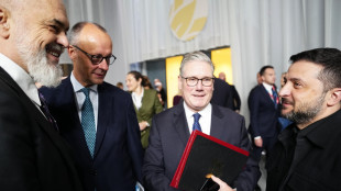 Merz, convergenza su asset russi, Putin non ci sottovaluti