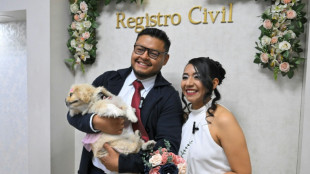 Perros y gatos: testigos simb&oacute;licos de las bodas civiles en Ecuador