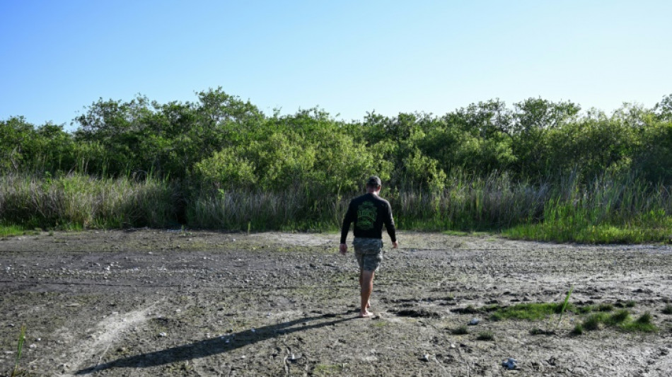 Severe drought strains wildlife and tourism in Florida's Everglades