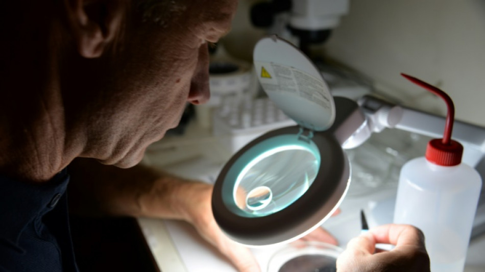 La lucha contra los microplásticos provoca tensiones dentro de la UE