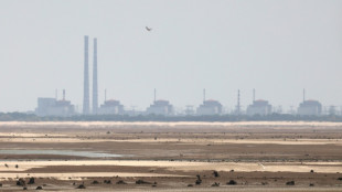 El OIEA califica de "inaceptable" la muerte de un ingeniero de una central nuclear de Ucrania