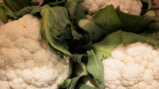 Neuer Ernährungsreport: Verbraucher achten wieder mehr auf den Preis 