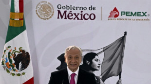 El exjefe de la petrolera mexicana seguir&aacute; en libertad durante un proceso por violencia contra su esposa