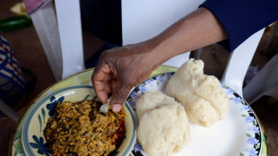 Nigerian scientists await return of Egusi seeds sent to space