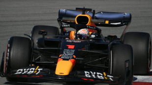 Weltmeister Verstappen spult flei&szlig;ig Testkilometer ab - Norris Schnellster