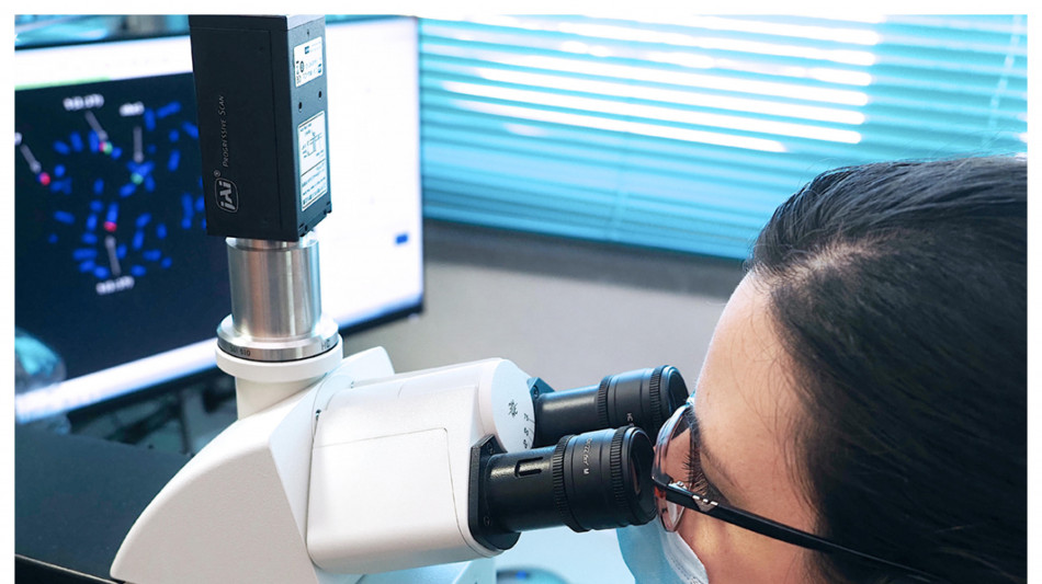 Cresce Mnesys, &egrave; la pi&ugrave; grande rete Ue di ricerca sul cervello