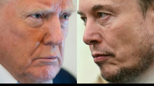 Apr&egrave;s le divorce entre Trump et Musk, des craintes de cons&eacute;quences en cascade