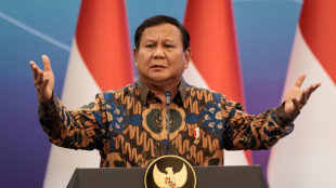 Indonesia dice que podr&aacute; recibir temporalmente a palestinos 