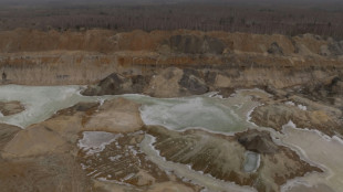 Le Parlement ukrainien ratifie l'accord "historique" avec Washington sur les minerais