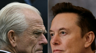 Musk s'en prend publiquement au conseiller au Commerce de Trump