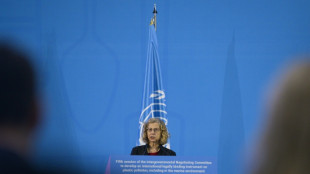 La ONU apuesta por un panel cient&iacute;fico para minimizar los efectos de los qu&iacute;micos en la contaminaci&oacute;n