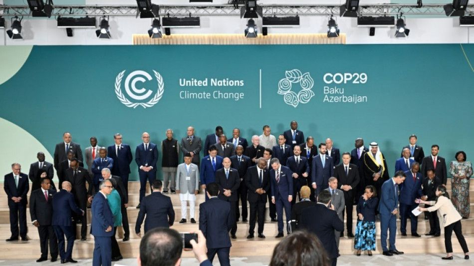 Argentina retira su delegación de la COP29 por orden de su nuevo canciller