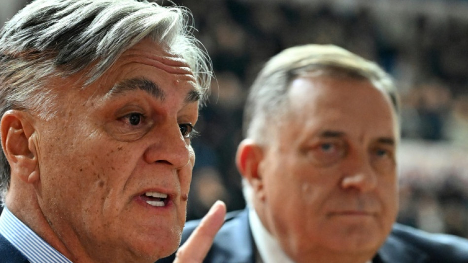 Vorgezogene Pr&auml;sidentenwahl in der serbischen Teilrepublik in Bosnien