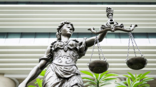 Frau soll Partner absichtlich &uuml;berfahren haben - Prozessauftakt in Sachsen-Anhalt