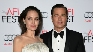 Angelina Jolie et Brad Pitt s'entendent sur une convention de divorce, selon un m&eacute;dia am&eacute;ricain