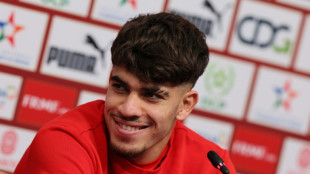 Los "d&iacute;as inolvidables" de Marruecos preparando los octavos ante Espa&ntilde;a