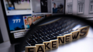 L'ONU publie ses grands "principes" pour lutter contre la d&eacute;sinformation en ligne