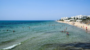 Tunisia sees European tourist numbers rebound decade after attack