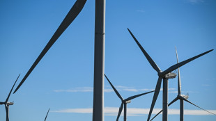 Energie: "des fili&egrave;res enti&egrave;res vont licencier" en cas de moratoire sur les renouvelables, selon Ferracci