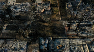 Los incendios de Los &Aacute;ngeles, totalmente controlados despu&eacute;s de tres semanas