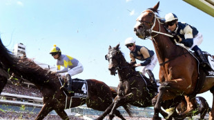 Melbourne Cup favourite Sir Delius scratched after vet scans