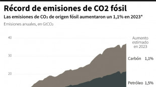 Petrobras, TotalEnergies y Shell probar&aacute;n la captura de CO2 en un yacimiento brasile&ntilde;o