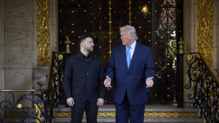 Ucraina: Zelensky starebbe negoziando un accordo di libero scambio con gli Usa
